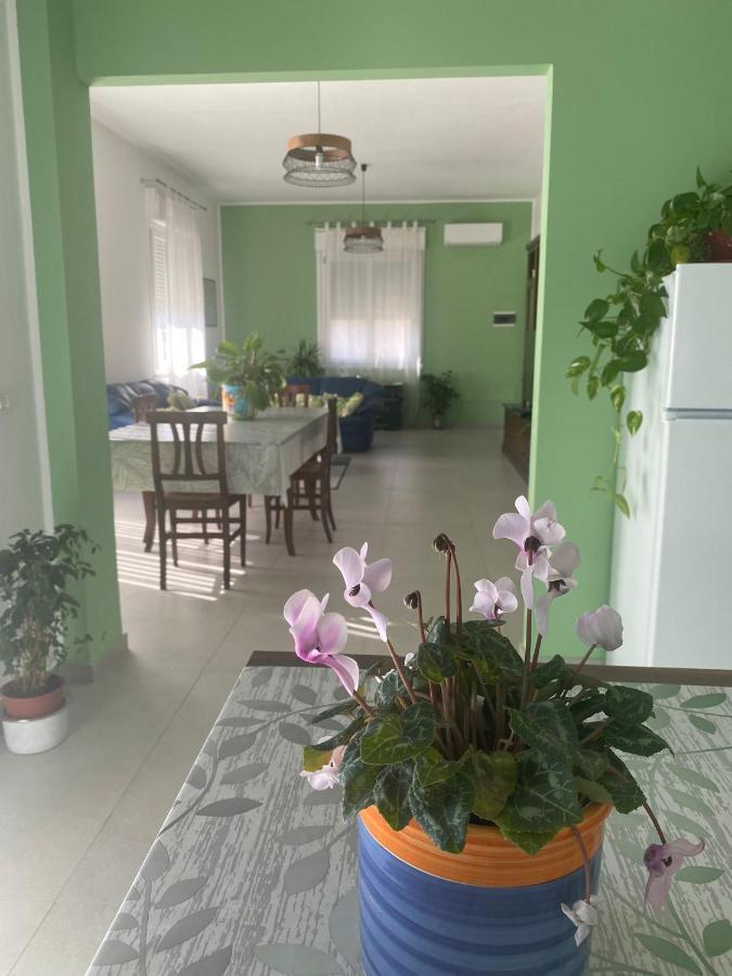 Appartement La Casa Verde à Cinisi Extérieur photo